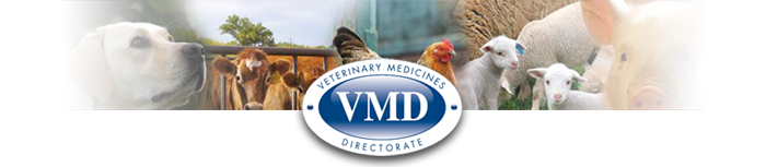 VMD logo and banner